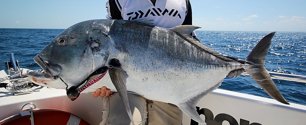 Big GT on our sportfishing charters