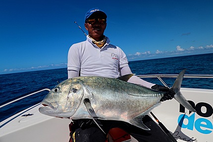 GTs,big smiles, flat water, and clear skies, the beauty of the Great Barrier Reef.
